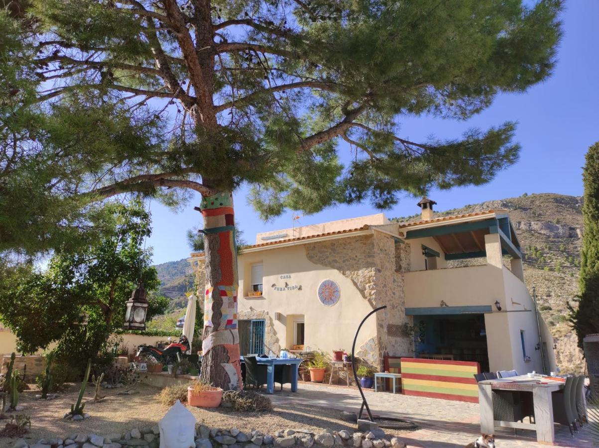 לינה וארוחת בוקר Relleu Casa Pura Vida מראה חיצוני תמונה